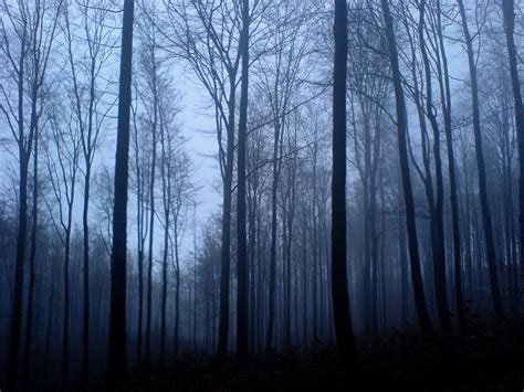  「Landscape Photographs」: 陰影と光の織りなす、ドイツの静寂